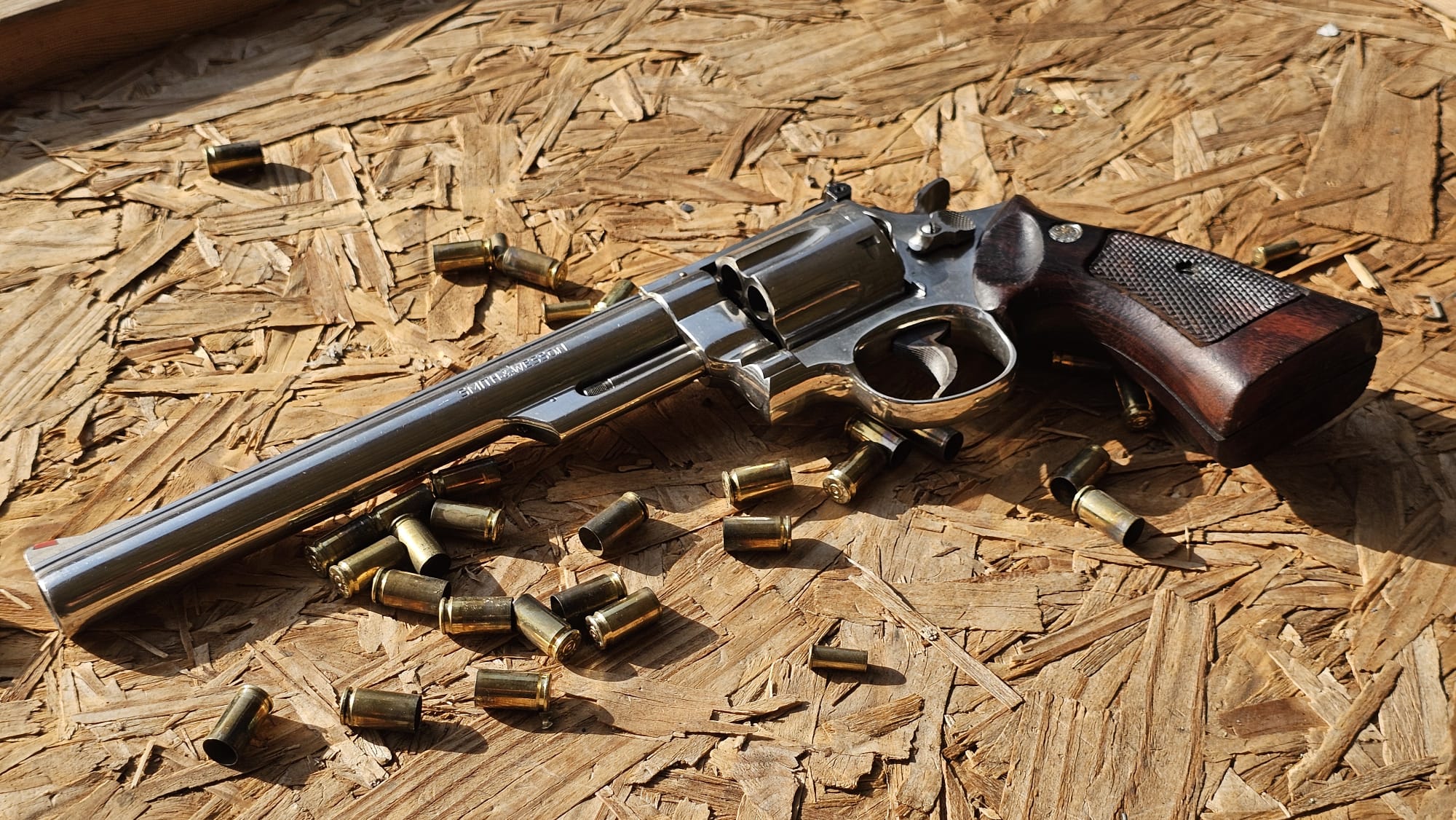 סמית'&ווסון מודל 29